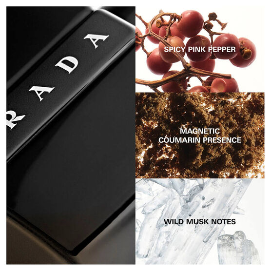 PRADA      PLR BLACK     EDP  100ML